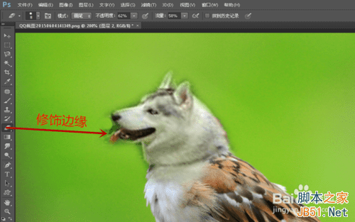 ps合成哈士奇头麻雀身的操作教程