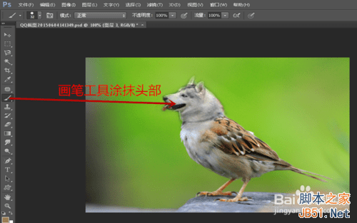 ps合成哈士奇头麻雀身的操作教程