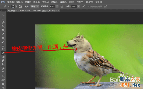 ps合成哈士奇头麻雀身的操作教程