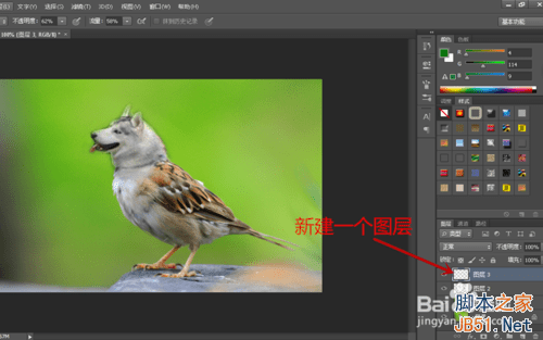 ps合成哈士奇头麻雀身的操作教程