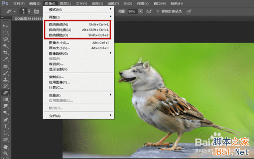 ps合成哈士奇头麻雀身的操作教程