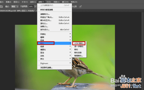ps合成哈士奇头麻雀身的操作教程