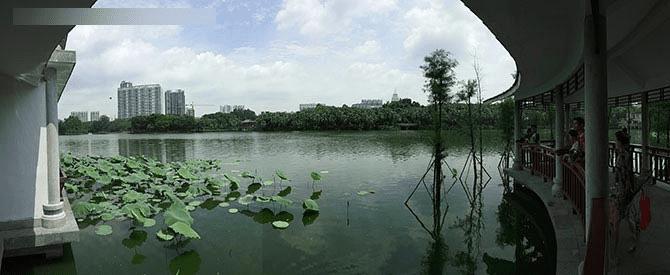 金立E8手机怎么样?号称手机中的显微镜