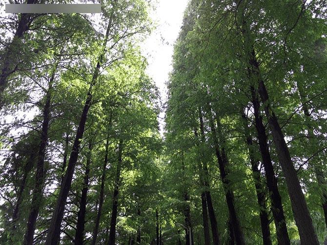 金立E8手机怎么样?号称手机中的显微镜