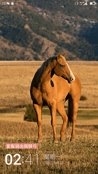 金立E8手机怎么样?号称手机中的显微镜