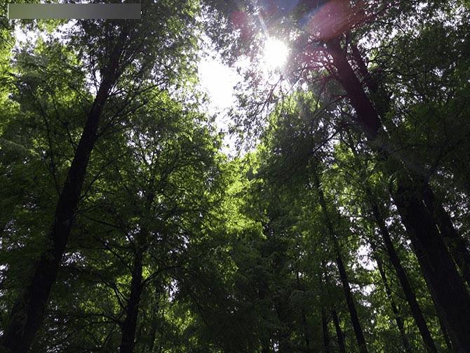 金立E8手机怎么样?号称手机中的显微镜