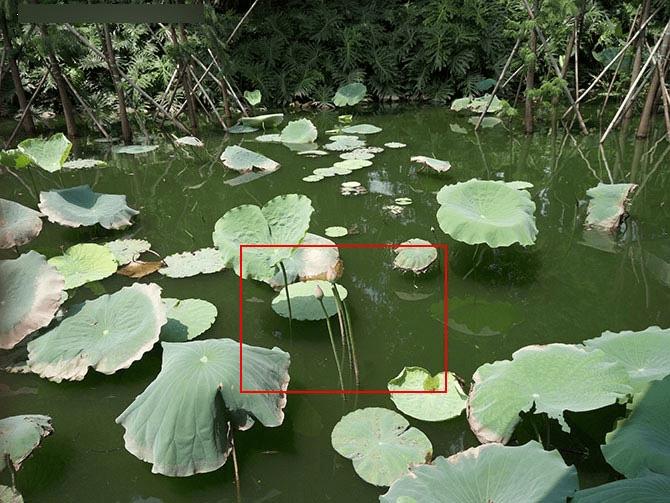 金立E8手机怎么样?号称手机中的显微镜