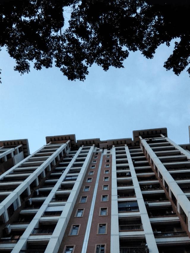 荣耀X2平板手机如何拍出好照片?荣耀X2手机拍照分享