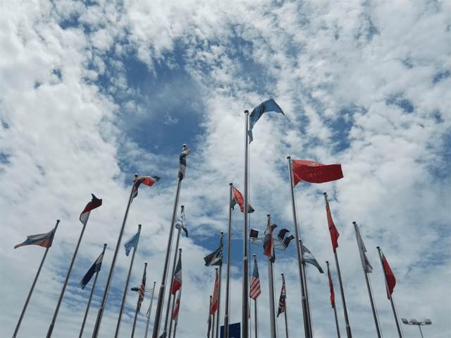 荣耀X2平板手机如何拍出好照片?荣耀X2手机拍照分享