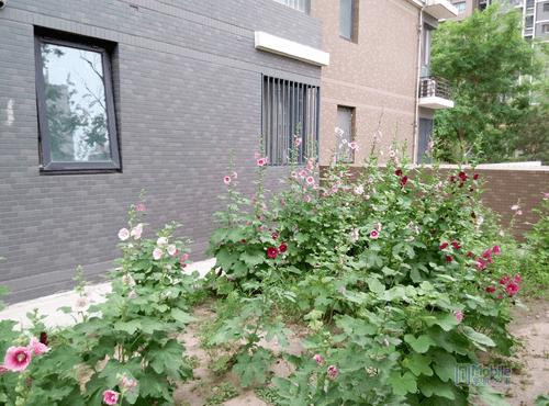 魅蓝note2好红米note配置对比 哪款手机配置更好?