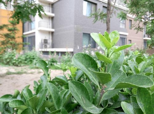 魅蓝note2好红米note配置对比 哪款手机配置更好?