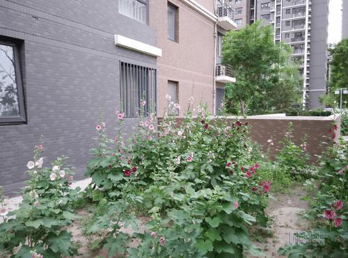 魅蓝note2好红米note配置对比 哪款手机配置更好?