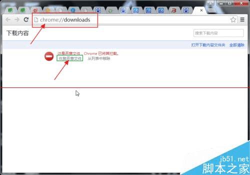 exeļʱʾChromeʾļǶļءô죿
