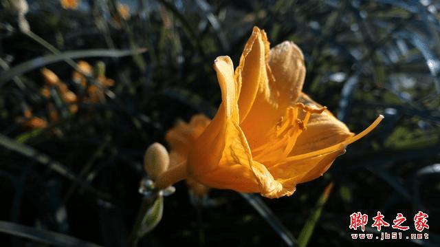 号称“性能怪兽”的华硕ZenFone 2手机怎么样?