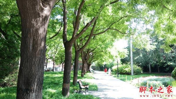 金立M5手机拍照效果怎么样?