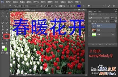 用花的背景来填充文字,个性又漂亮!