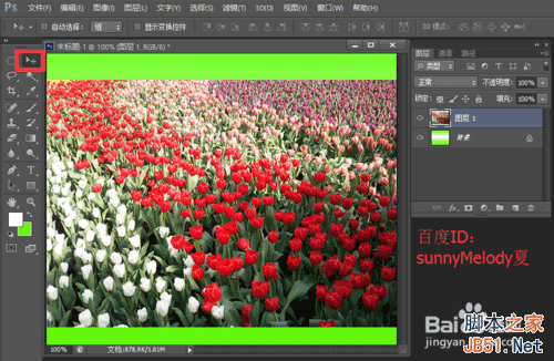用花的背景来填充文字,个性又漂亮!