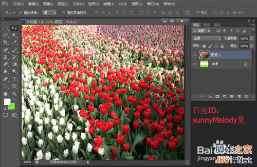 用花的背景来填充文字,个性又漂亮!