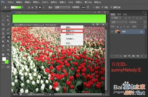 用花的背景来填充文字,个性又漂亮!