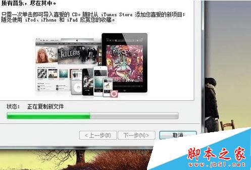 itunes安装后却打不开怎么解决?