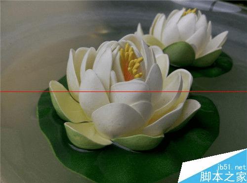 手机拍照中兴醉享和魅蓝note哪个好?