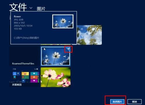 Windows8ϵͳԻ棿