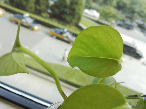 魅族MX5手机与荣耀7的全面对比及检测