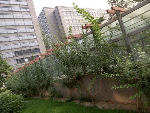 魅族MX5手机与荣耀7的全面对比及检测