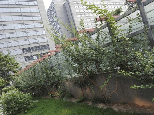 魅族MX5手机与荣耀7的全面对比及检测