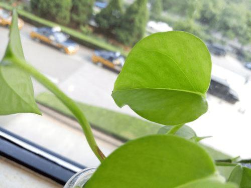 魅族MX5手机与荣耀7的全面对比及检测