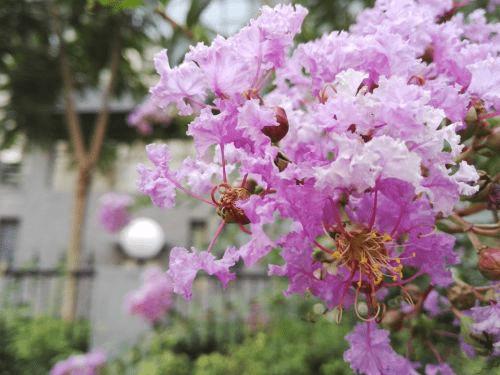 魅族MX5手机与荣耀7的全面对比及检测