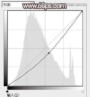 如何用ps调出早晨雾蒙蒙的外景人像?
