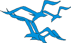 CorelDRAW9展现完整的海鸥图形效果