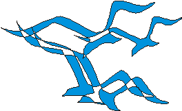 CorelDRAW9展现完整的海鸥图形效果