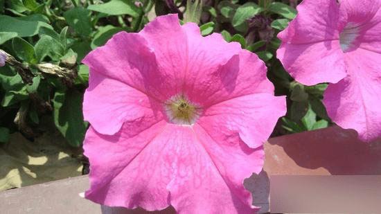 TCLôô3SòãTCLôô3S⣿