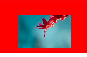 CSS各类居中的方法分享