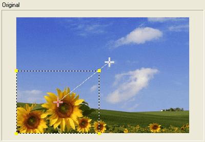 ʹûӰеԴҡŹܵĽ̳