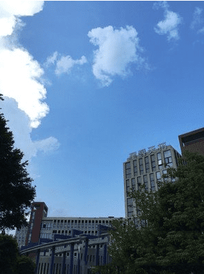 ֻxperia z3+iphone6plusĸȽϺã