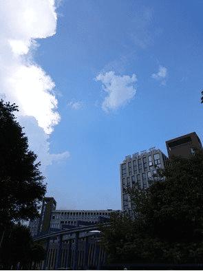 ֻxperia z3+iphone6plusĸȽϺã