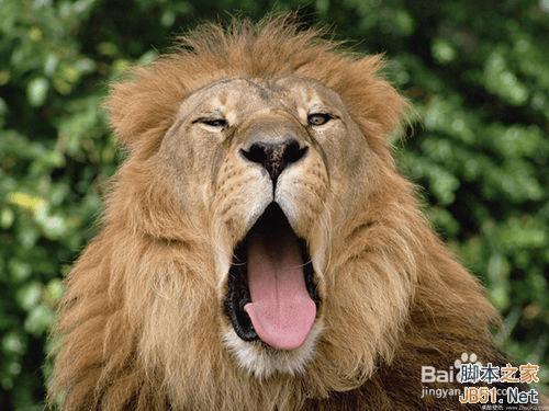 ps制作图片凸出效果的具体方法