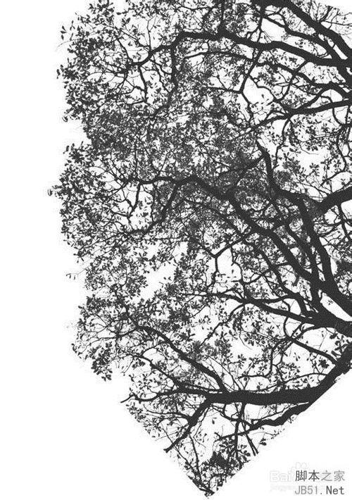 运用ps实现双重曝光效果的技巧