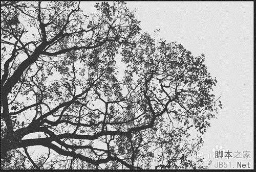 运用ps实现双重曝光效果的技巧