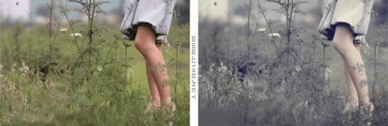 ps的简单的技术知识的详细介绍