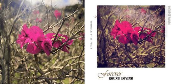 ps的简单的技术知识的详细介绍