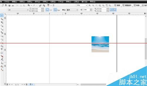 ʹCoreldrawͼƬԼҪ״ʽ