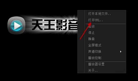 使用天王影音看片的方法