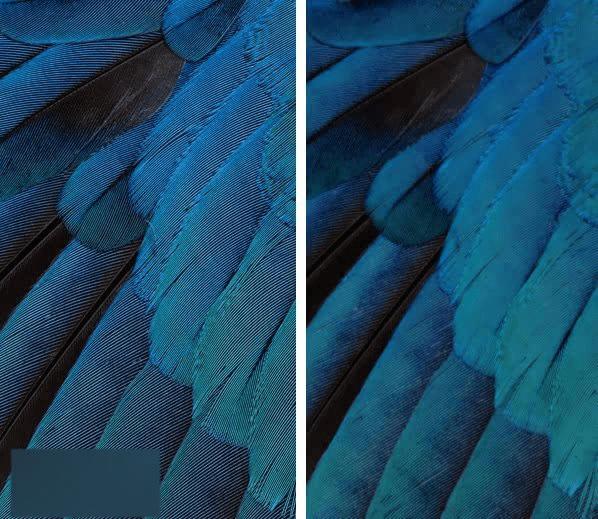 iOS9Beta3ֽײŵBelle