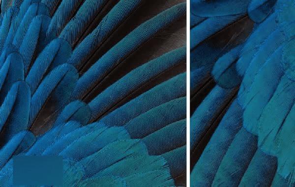 iOS9Beta3ֽײŵBelle