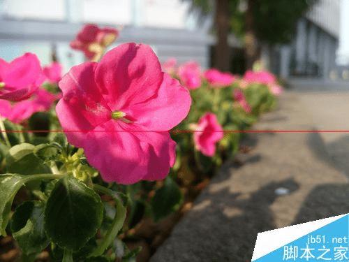 女生买手机,小米Note顶配和一加2手机哪个更合适?