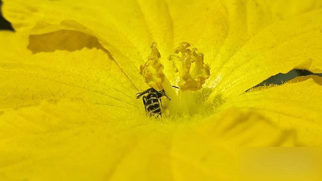 相比S6 edge来说三星S6 Edge+有哪些变化?